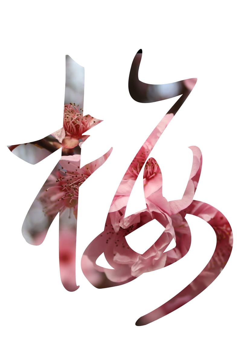 梅 — Mei blossom logo