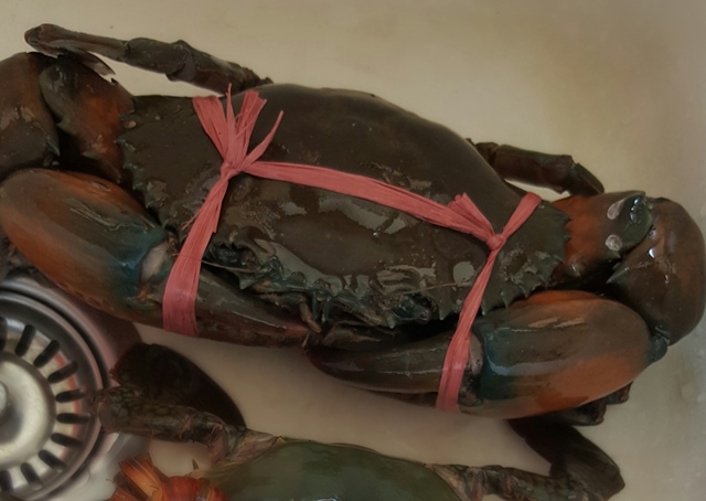 Choosing and Preparing Crabs