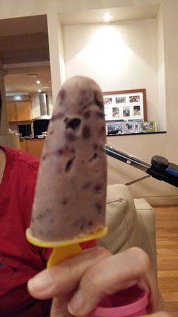 Red Bean/Coconut Popsicles